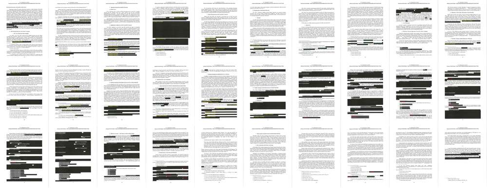 Redacted pages from the report